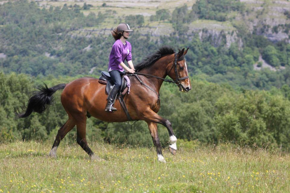 Lake District Horse Riding and Activity Holidays